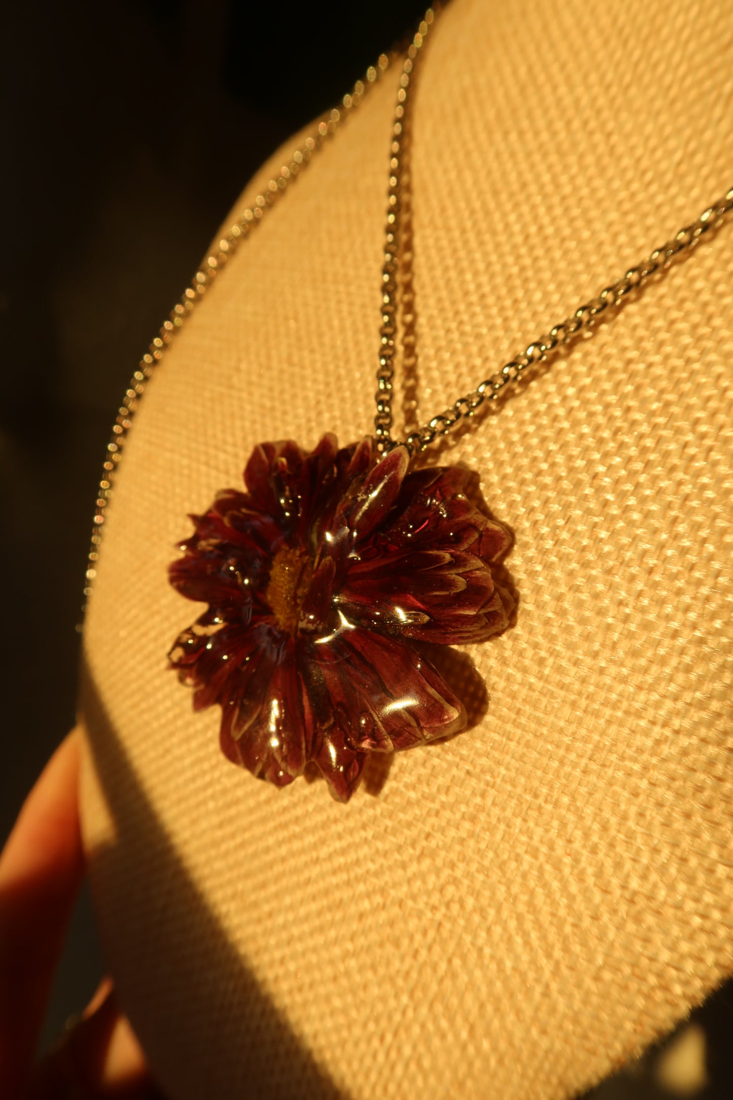 WILD CHRYSANTHEMUM (EXHIBIT)