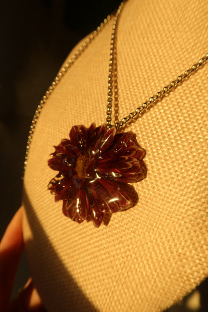 WILD CHRYSANTHEMUM (EXHIBIT)