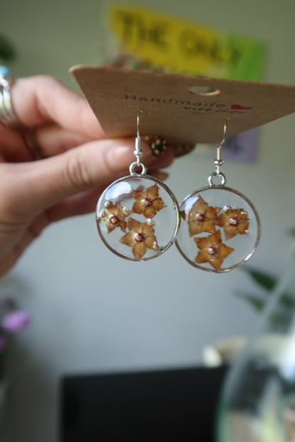 Hoya Bloom Resin Earrings