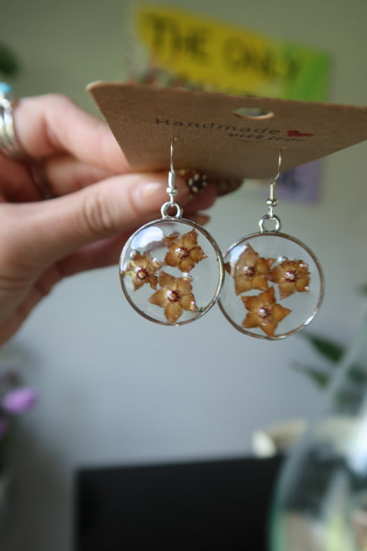 Hoya Bloom Resin Earrings