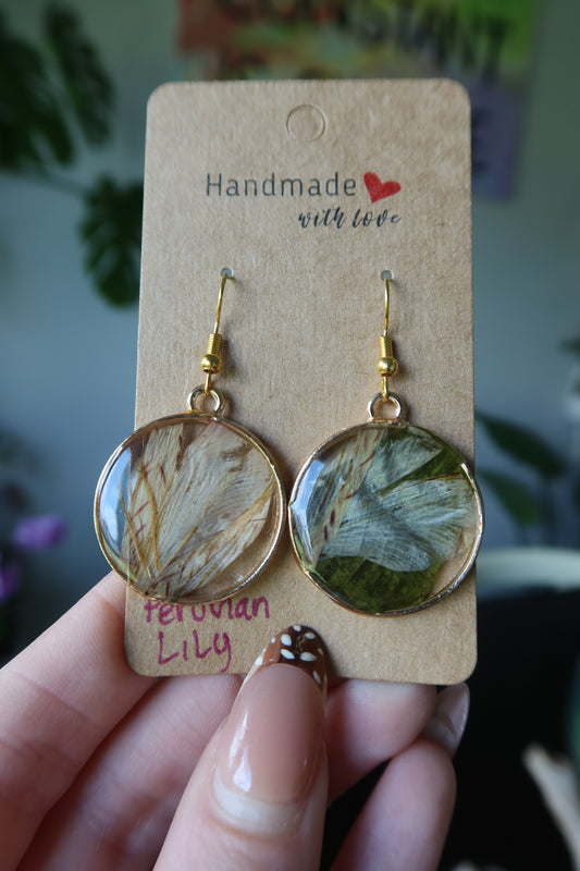 Peruvian Lily Round Gold Earrings