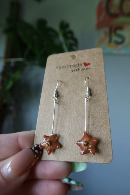 Hoya Magic Wand Earrings
