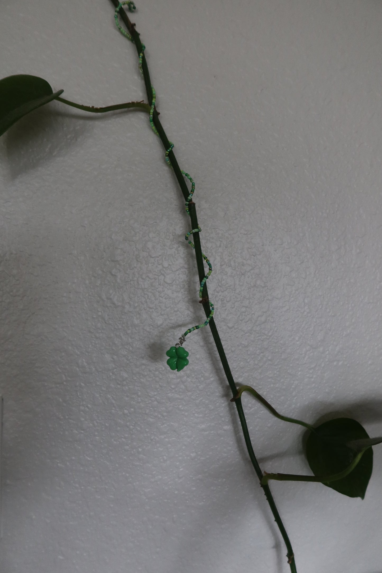 Lucky Clover Plant Wrap