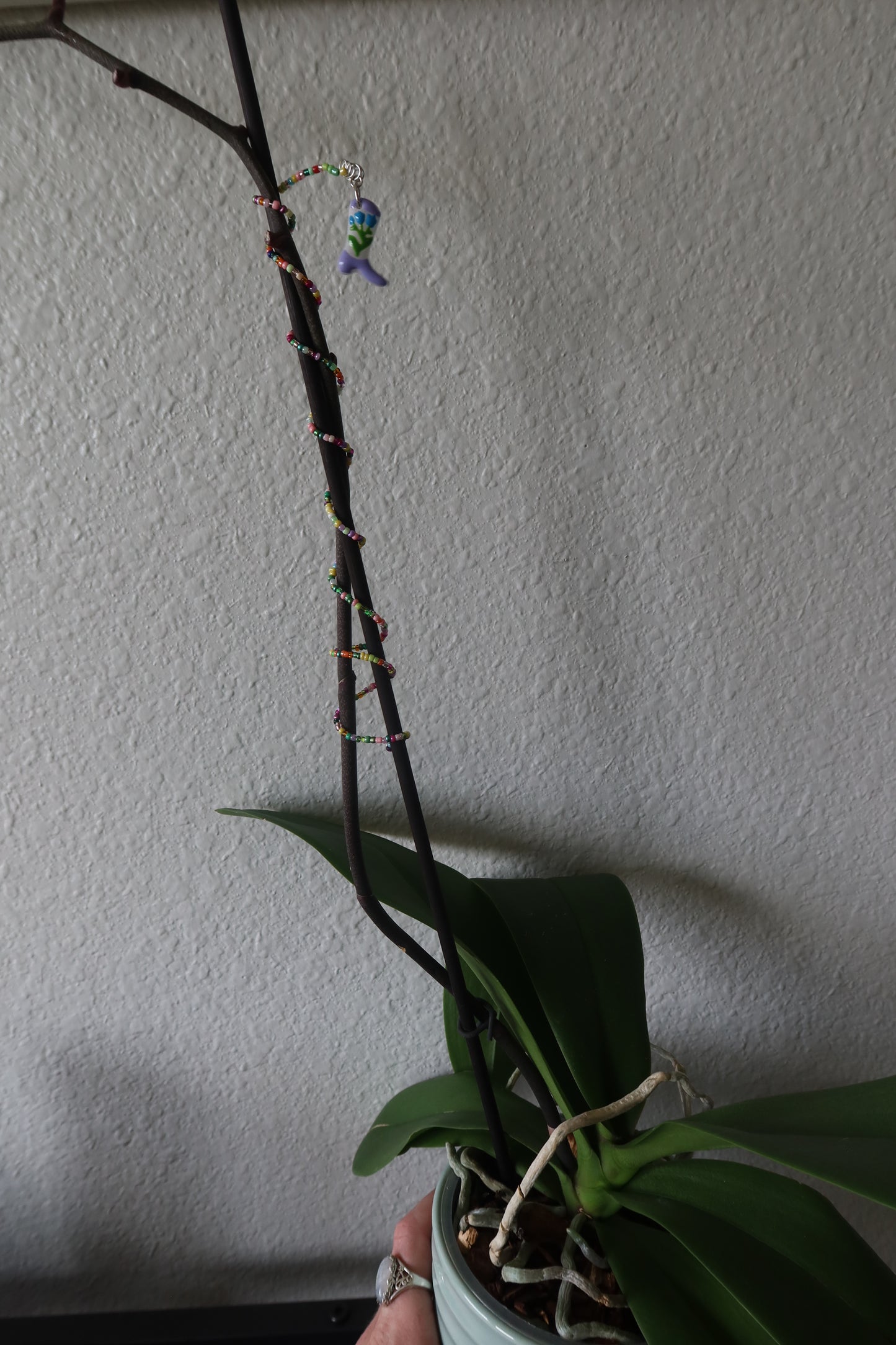 Lucky Garden Boots Plant Wrap