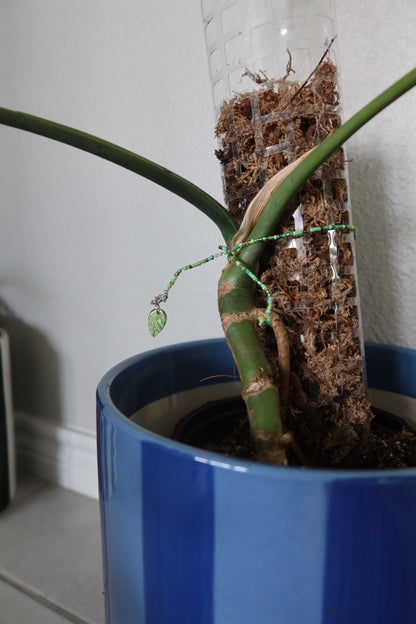 Spring Leaf Plant Wrap