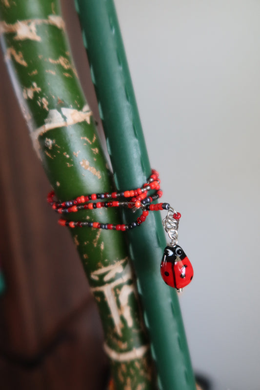 Ladybug Plant Wrap - In the Garden Collection