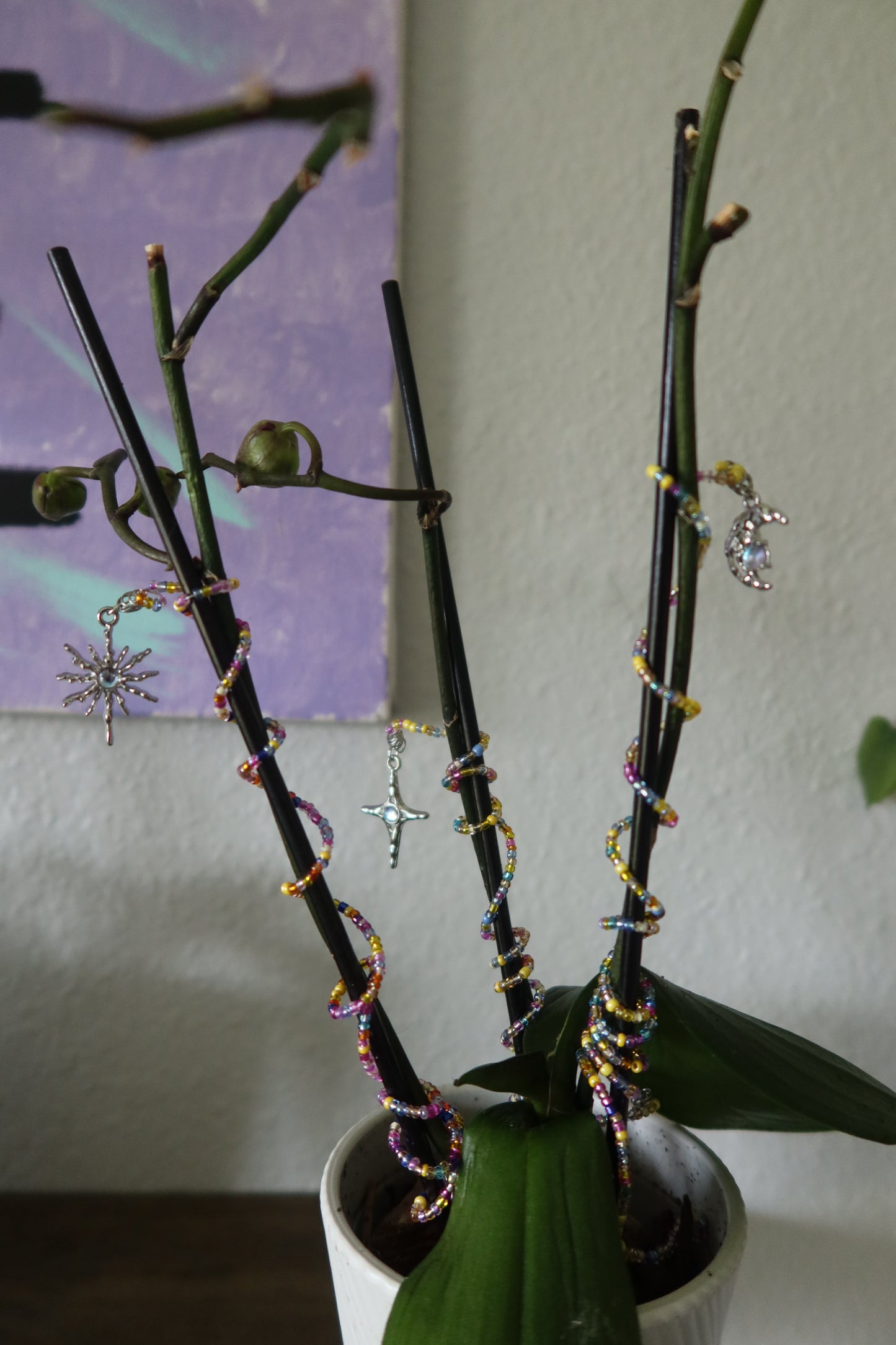 Celestial Plant Wrap - Sun, Moon or Star