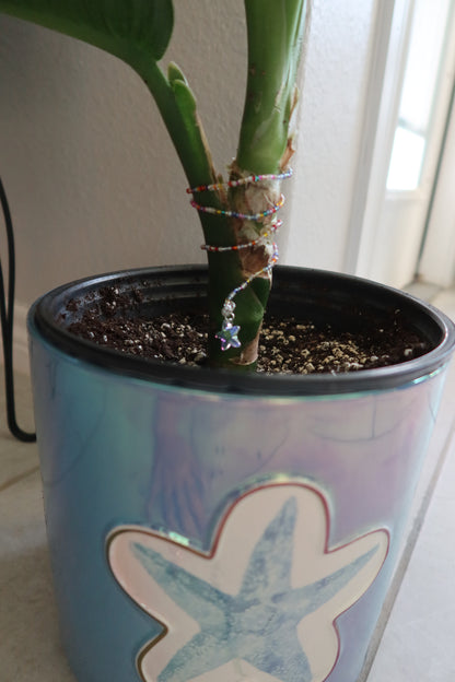 Sun Catcher Plant Wrap