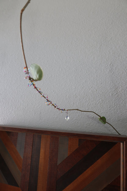 Sun Catcher Plant Wrap