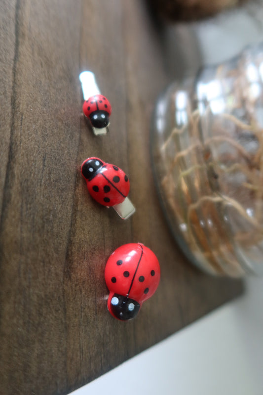 🐞 Ladybug Critter Clips