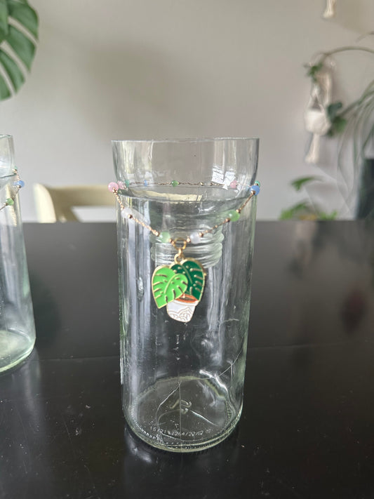 Monstera Plant Propagation Vase