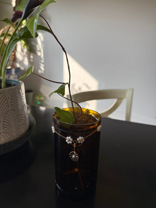 Black Daisy Chain Plant Propagation Vase - Cupid's Collection