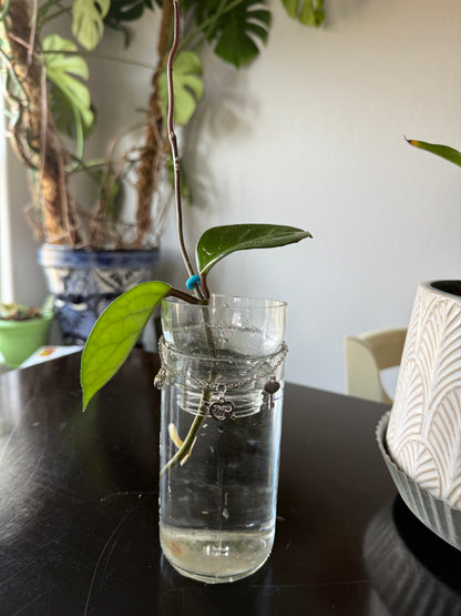Lock & Key Love Chain Plant Propagation Vase - Cupid's Collection