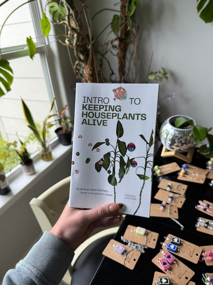 Intro to Keeping Houseplants Alive - ZINE