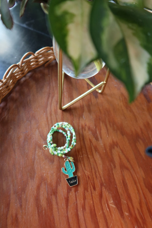 Hello Cactus Plant Wrap - House Plant Lover Collection