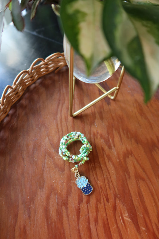 Blue Succulent Plant Wrap - House Plant Lover Collection