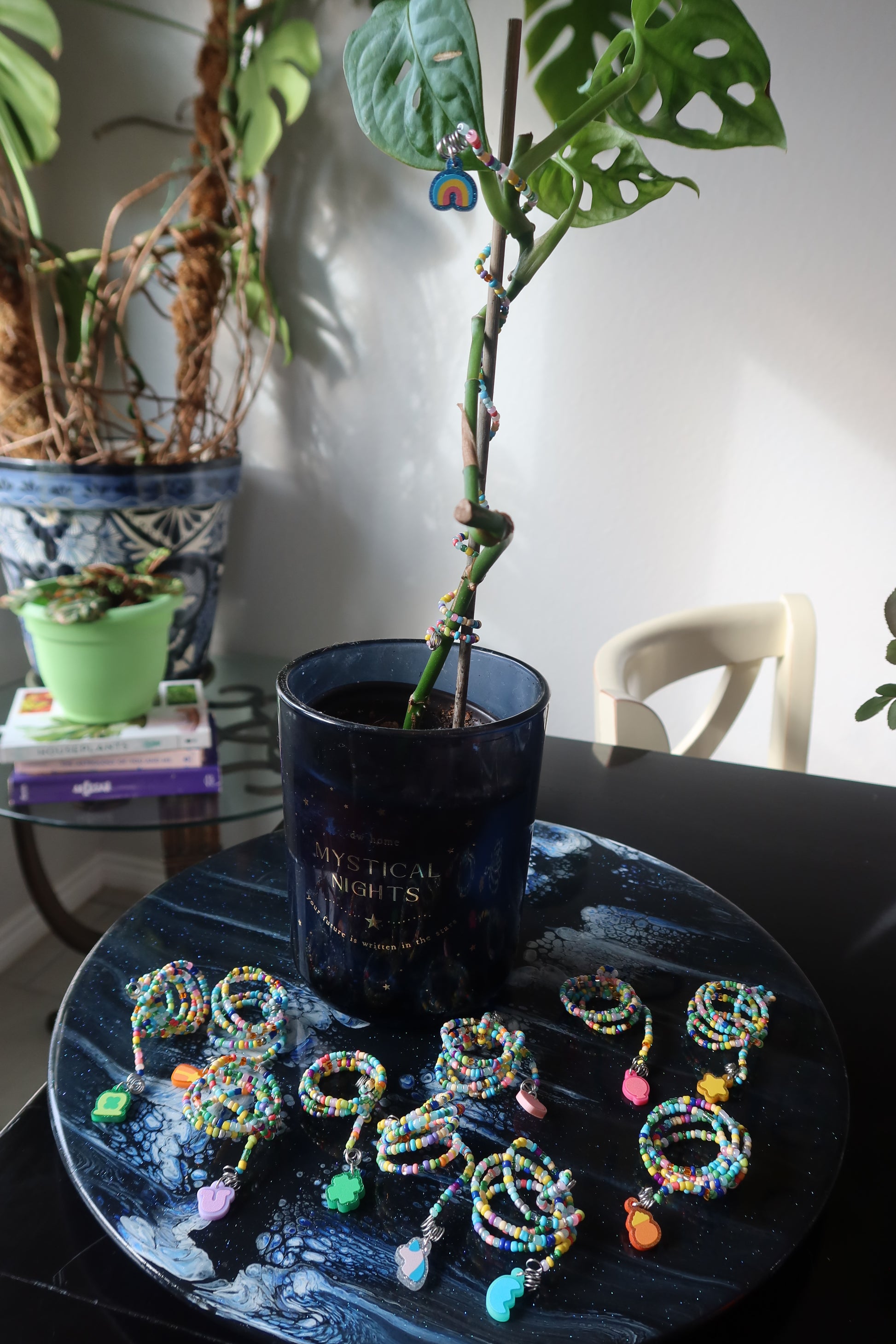 rainbow house plant Rainbow Plant Wrap