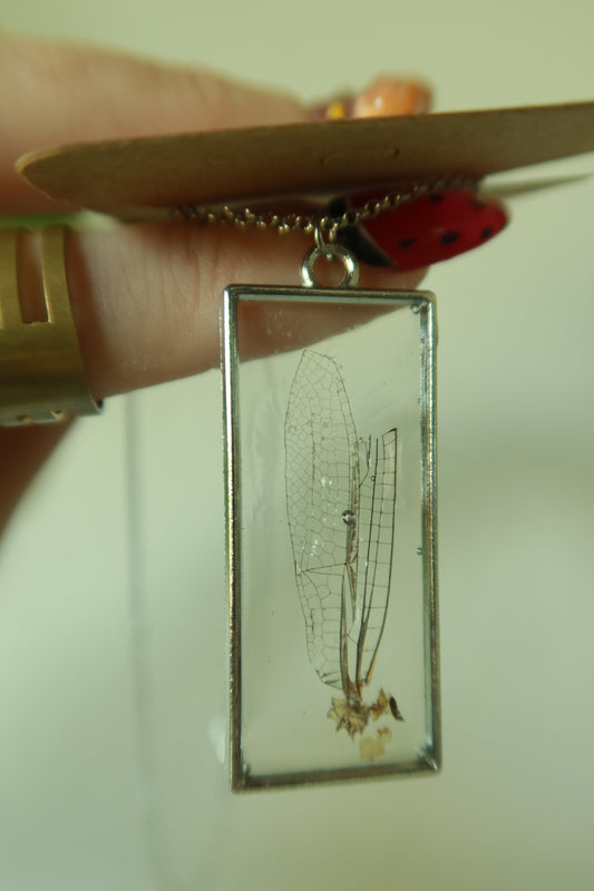 Real Dragonfly Wing Necklace - Ethically Sourced