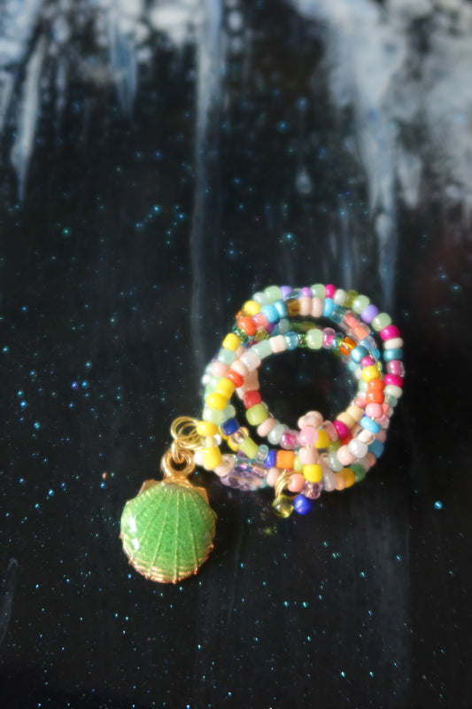 Green Shell Plant Wrap - Under the Sea Collection