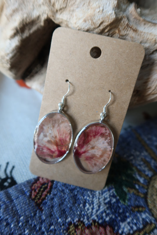 Silver Oval Pink Hibiscus Earrings