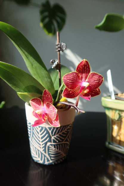 Striped Orchid Bloom Earrings