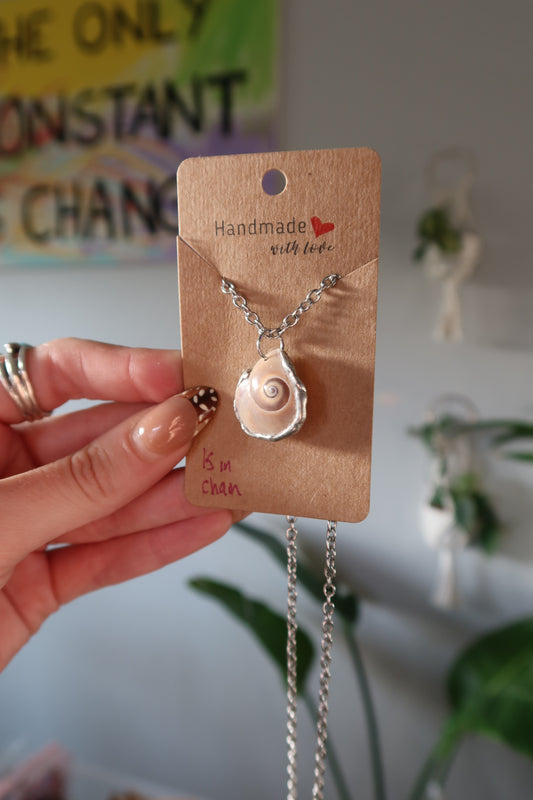 Shark Eye Shell Necklace Thick Chain