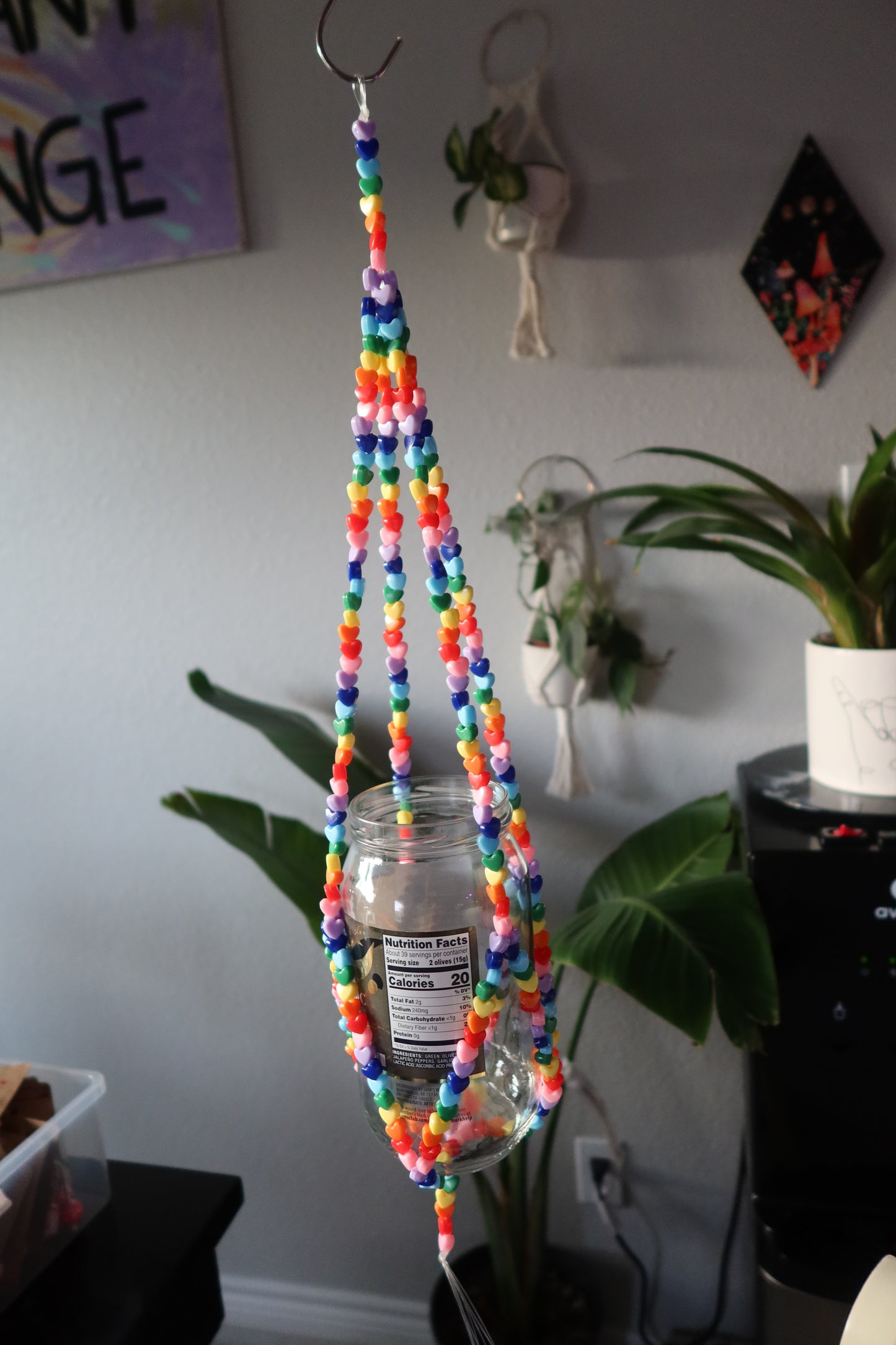 Rainbow Heart Plant Hanger - Long