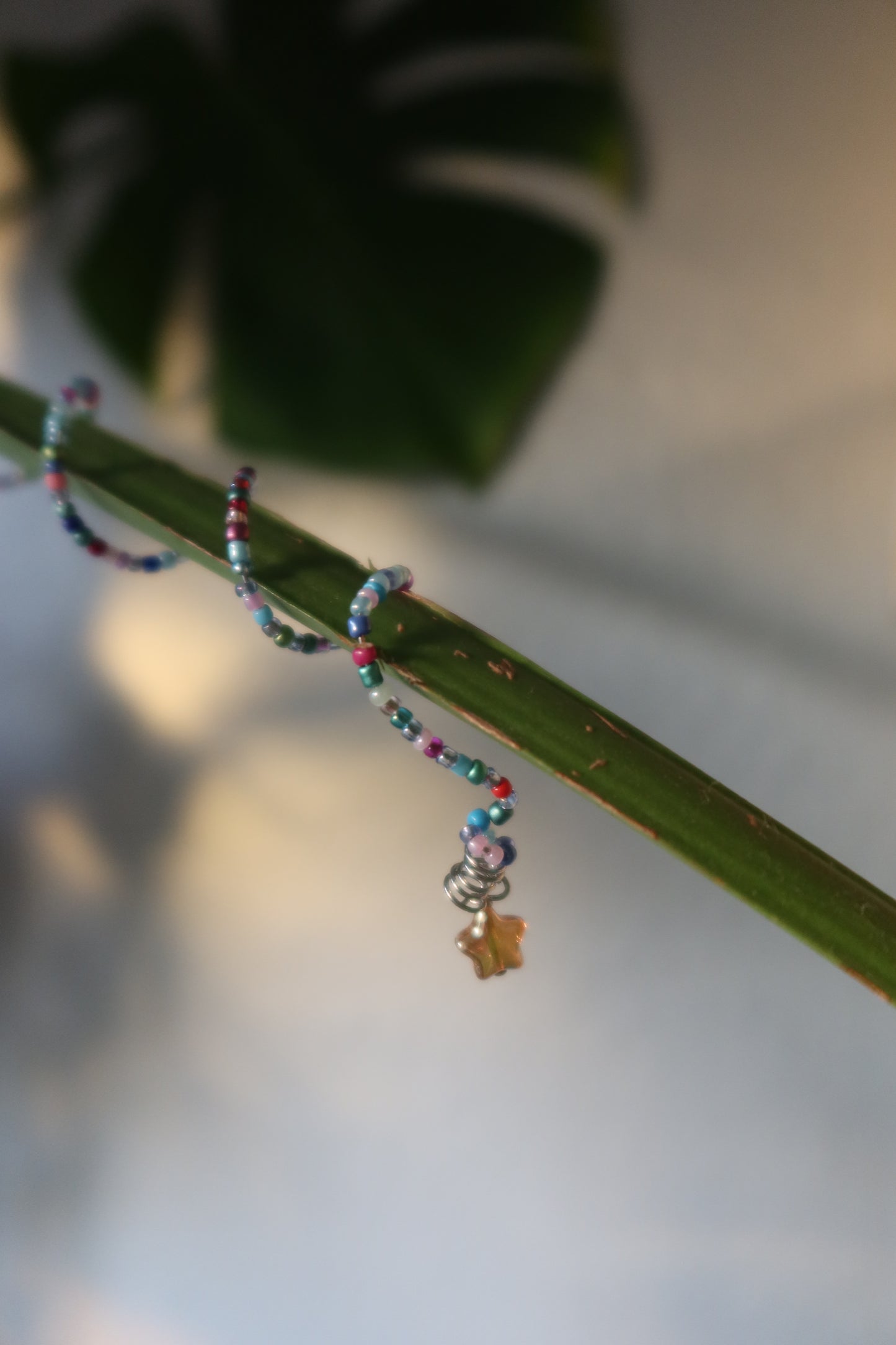 Star Drop Plant Wraps - Enchanted Collection