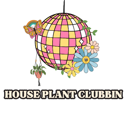 House Plant Clubbin